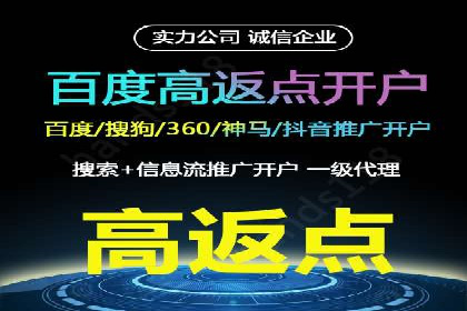 关键词竞价排名实战案例分析